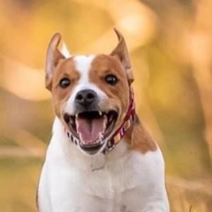 Meet your Posher, Jack